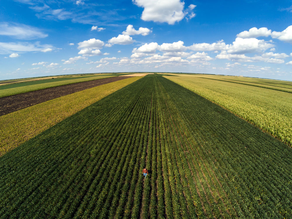 Campo muito grande e verde.